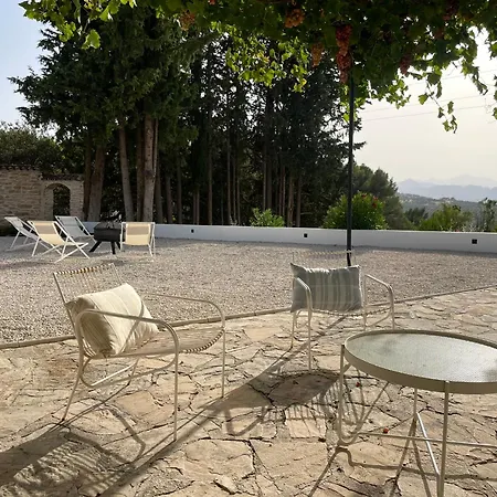 La Oliveta